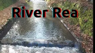 Cannon Hill Park Birmingham November 2020 4/4 ꟾ River Rea in Cannon Hill Park ꟾ Rivers in Birmingham