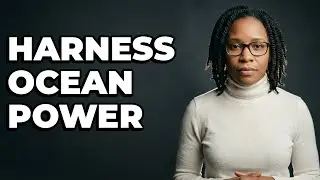 What Are The Main Types Of Ocean Energy?
