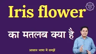 Iris flower meaning in Hindi | Iris flower ka matlab kya hota hai | English to hindi