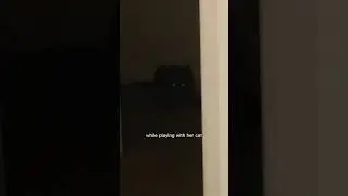 Это НЕ ее кот.. @laurenconsentino1404