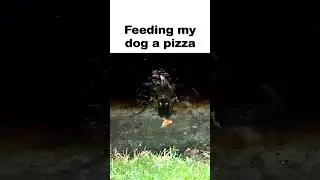 Average day in florida