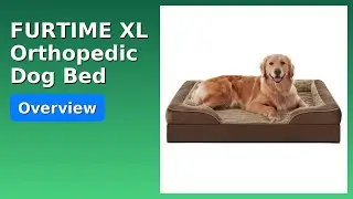 REVIEW (2025): FURTIME XL Orthopedic Dog Bed. ESSENTIAL details.