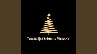 True to life Christmas miracles