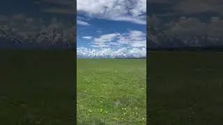Grand Teton | Wildlife tracking