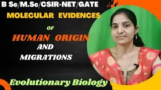 Molecular Evidences Of Human Origin And Migration B.Sc 2nd Year||#humanevolution.#molecularevidences