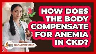 How Does The Body Compensate For Anemia In CKD? - Kidney Cancer Support Hub