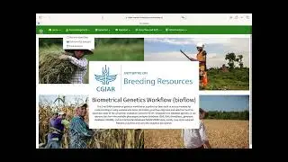 #1 Breeding Analytics Pipeline: Introduction to bioflow