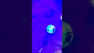 Yoozon Party Lights Sound Activated Disco Ball Party Light, Pretty cool disco lights