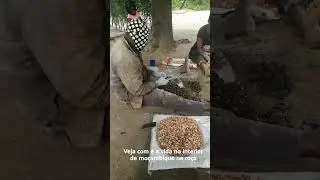 Veja como &eacute; a vida no interior de mo&ccedil;ambique na ro&ccedil;a.