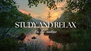 Study & Relax in Nature with Classical Piano Music 🎶🌲 | Deep Focus & Peaceful Ambience