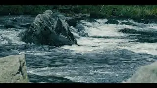 Lymph Of Life (Alberto Tresguerres Composer) #HansZimmerMonth