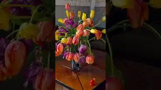 DISCOVER CULTURE: De L'Europe (9:16)