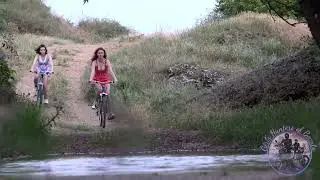 Evening Bikes