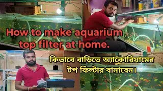 How to make aquarium top filter at home. কিভাবে বাড়িতে অ্যাকোরিয়ামের টপ ফিল্টার বানাবেন।#viral 