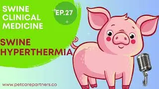 EP 27: Hyperthermia in Swine: Causes, Signs & Emergency Management | Veterinary Guide
