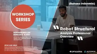 Workshop Robot Structural Analysis Professional Overview