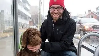 Tyler Dawson: Pets on local transit