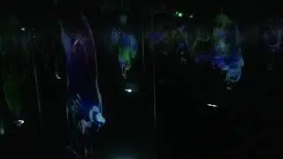 Room C - teamLab : au-del&agrave; des limites