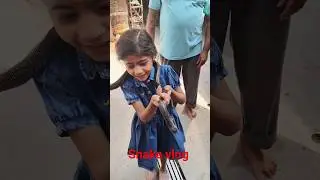 Manya #vikas_vlogs #snake #snakevlog #baba #anandeshwar #mandir