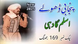 New Punjabi Dholy Aslam Gadhi Chak No 169 2024 (officialvideo) Tayyab Baloch Official