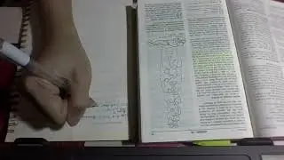 🕊️Bible Study with me - Genesis 28
