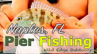 Naples Pier Fishing /