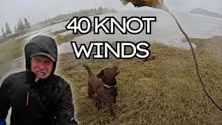 Hiking the Maine Coast in 40-Knot Winds! Edible Sea Plant Foraging in a Nor&rsquo;easter w/ Tidepool Tim