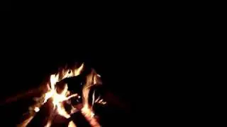 MOV01511