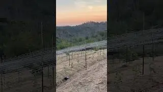 Yard Work Time Lapse | Ep.2 (TyChee Farms Edition*)
