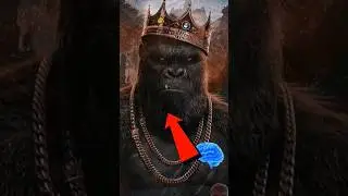 How intelligent is kong ❓ #shots