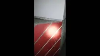 Cockroach infestation at Ukiah High School