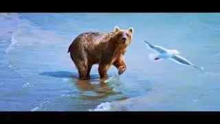 Полёт над Россией (2020) документальный Трейлер / Russia From Above