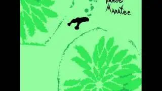 Animal Collective - Essplode