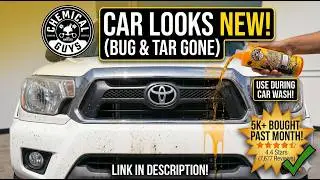 How to clean bugs off the front of your car