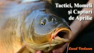 Pescuit la Crap pe Varlaam | Tactici, Momeli și Capturi de Aprilie