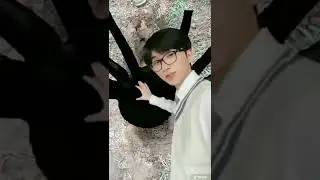 grave save