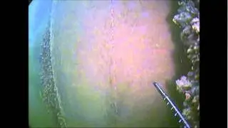 Lock Gate Seals ROV Inspection