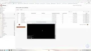 OPNSense Acme Client Automation mit SFTP | IT-Engler