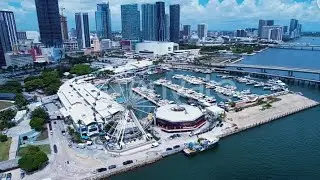 Things to do in St. Petersburg Fl