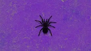 [FREE] Young Thug x Travis Scott Type Beat - 