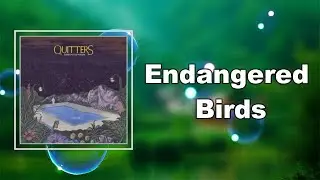 Christian Lee Hutson - Endangered Birds (Lyrics)