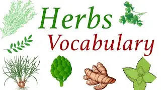 Types Of Herbs | Herbs Vocabulary | #english