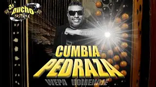 🪗​ Cumbia Pedraza (Wepa Homenaje) 🕊️​ Dj Pucho Mastermix