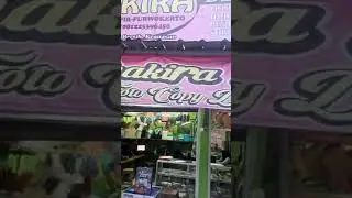 Shakira FC Purwokerto - Pengiriman Mesin Epson L15160