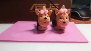 pap do cachorrinho yorkshire em biscuit - vi biscuit