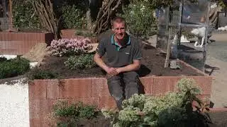 GTV Proven Winners&reg; Buddleja White Chip & Viburnum Yin mei 2025