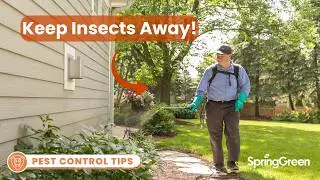 How to Keep Insects Out of Your House | Perimeter Pest Control