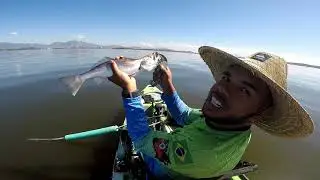 Pescaria de caiaque - Kaiak - corvinas e pescadas ,ilha do governador