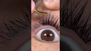 Minimal lashes by Linx #diylashes