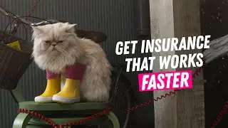 Lemonade - Insurance that works faster